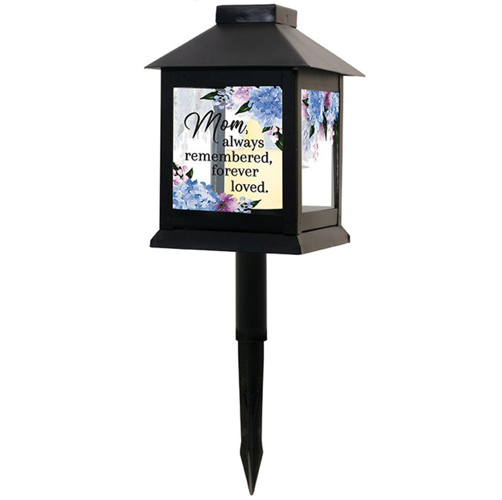 Carson, Mom Lantern Pick