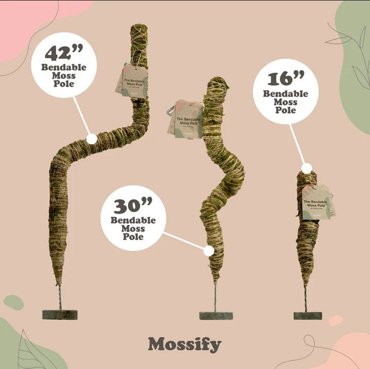 Mossify, Original Bendable Moss Pole, Sizes Sold Separately