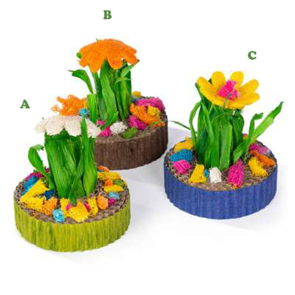 Prevue, Succulent Mini Garden, Assorted & Sold Separately