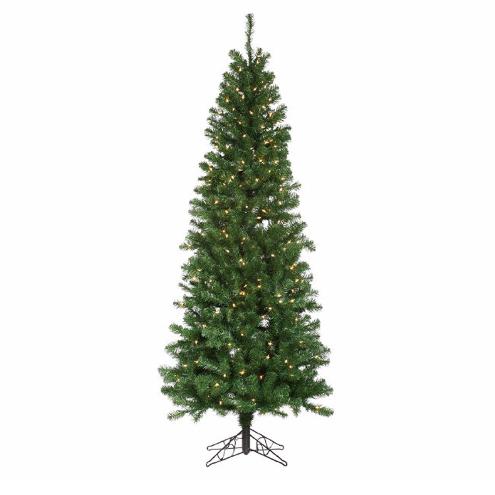 Direct Export, 7.5' Augustine Pine, Clear
