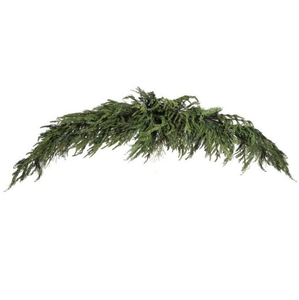 Regency, 72" Cyprus/Norfolk Pine Swag