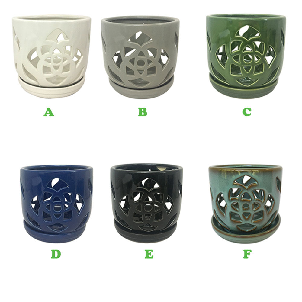 Border Concepts, Orchid Pot w/ Saucer, 6.5", Assorted and Sold Separately