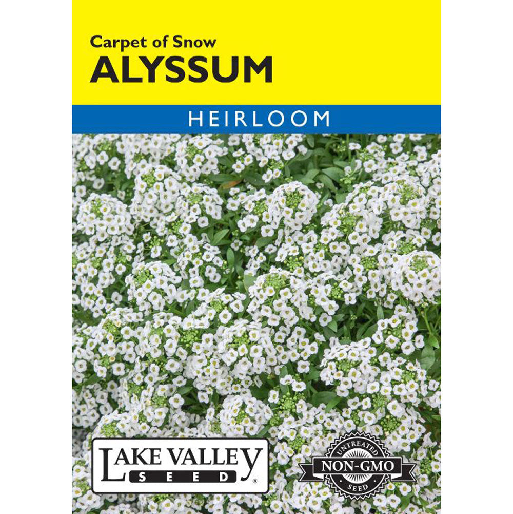 Lake Valley, Alyssum, Carpet Of Snow