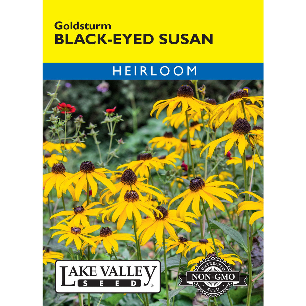 Lake Valley, Black Eyed Susan Goldstrum