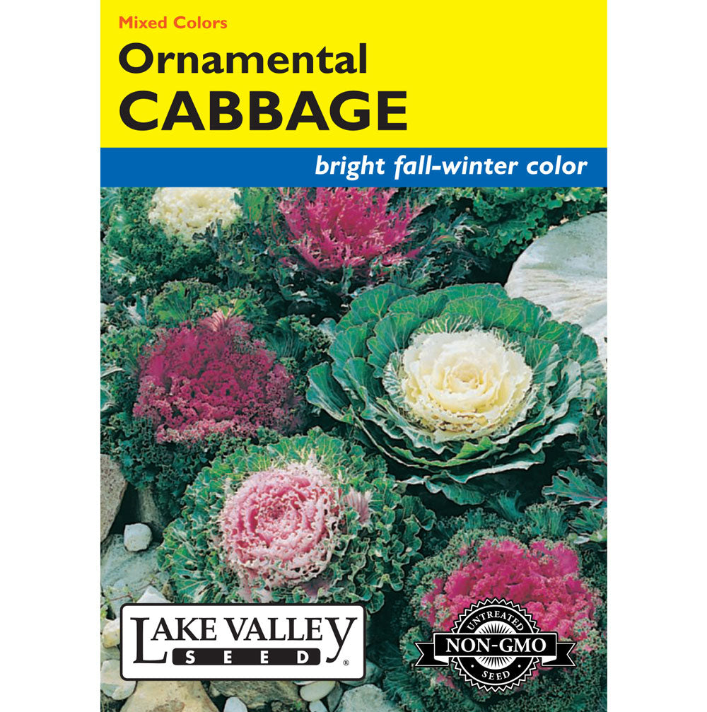 Lake Valley, Cabbage Ornamental, Mixed Colors