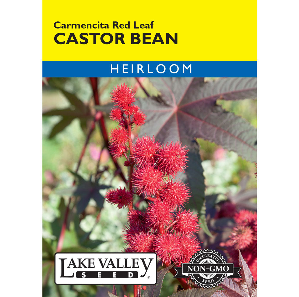 Lake Valley, Castor Bean, Carmencita Red Leaf