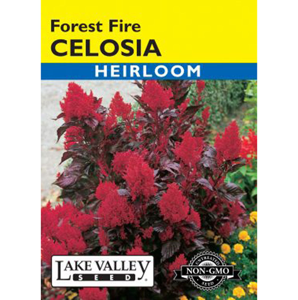 Lake Valley, Celosia Forest Fire