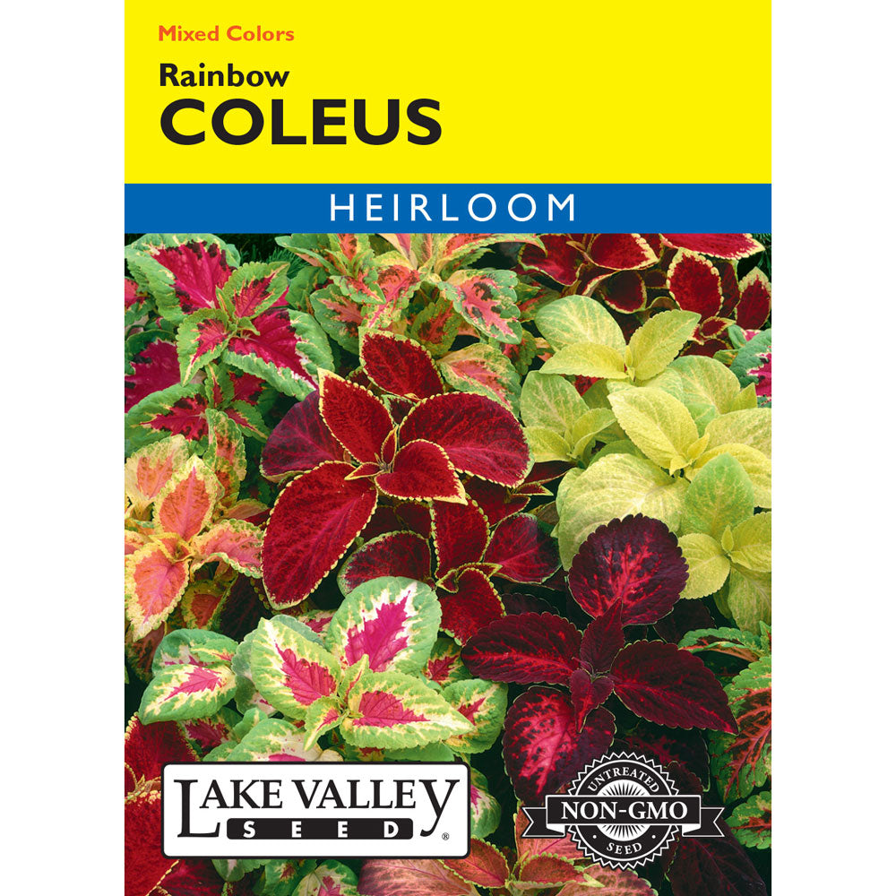 Lake Valley, Coleus Rainbow Mixed Colors