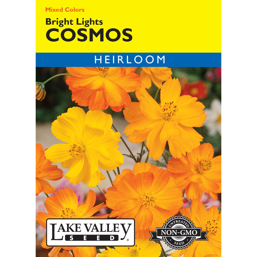 Lake Valley, Cosmos Bright Lights, Mixed Colors