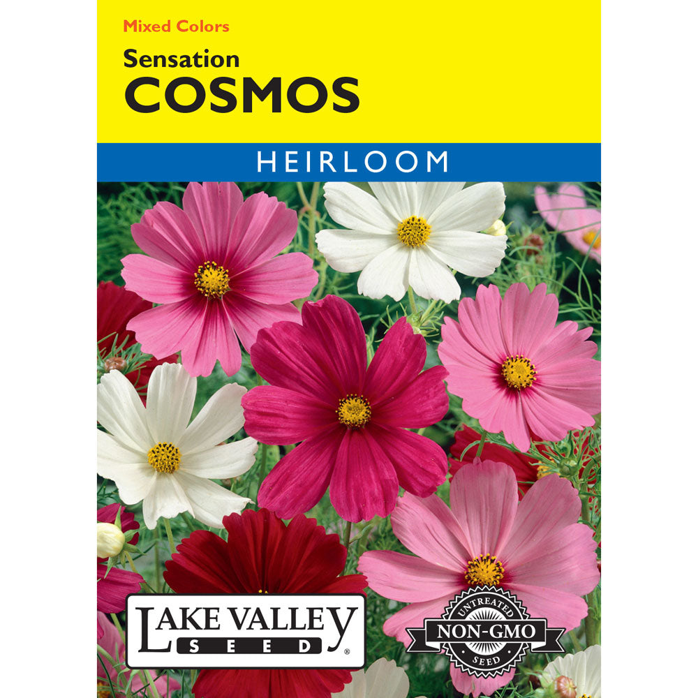 Lake Valley, Cosmos Sensation, Mixed Colors