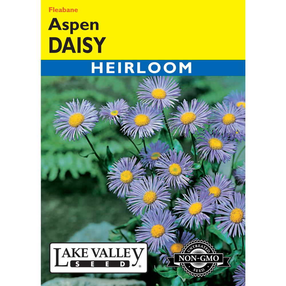 Lake Valley, Daisy Aspen, Fleabane