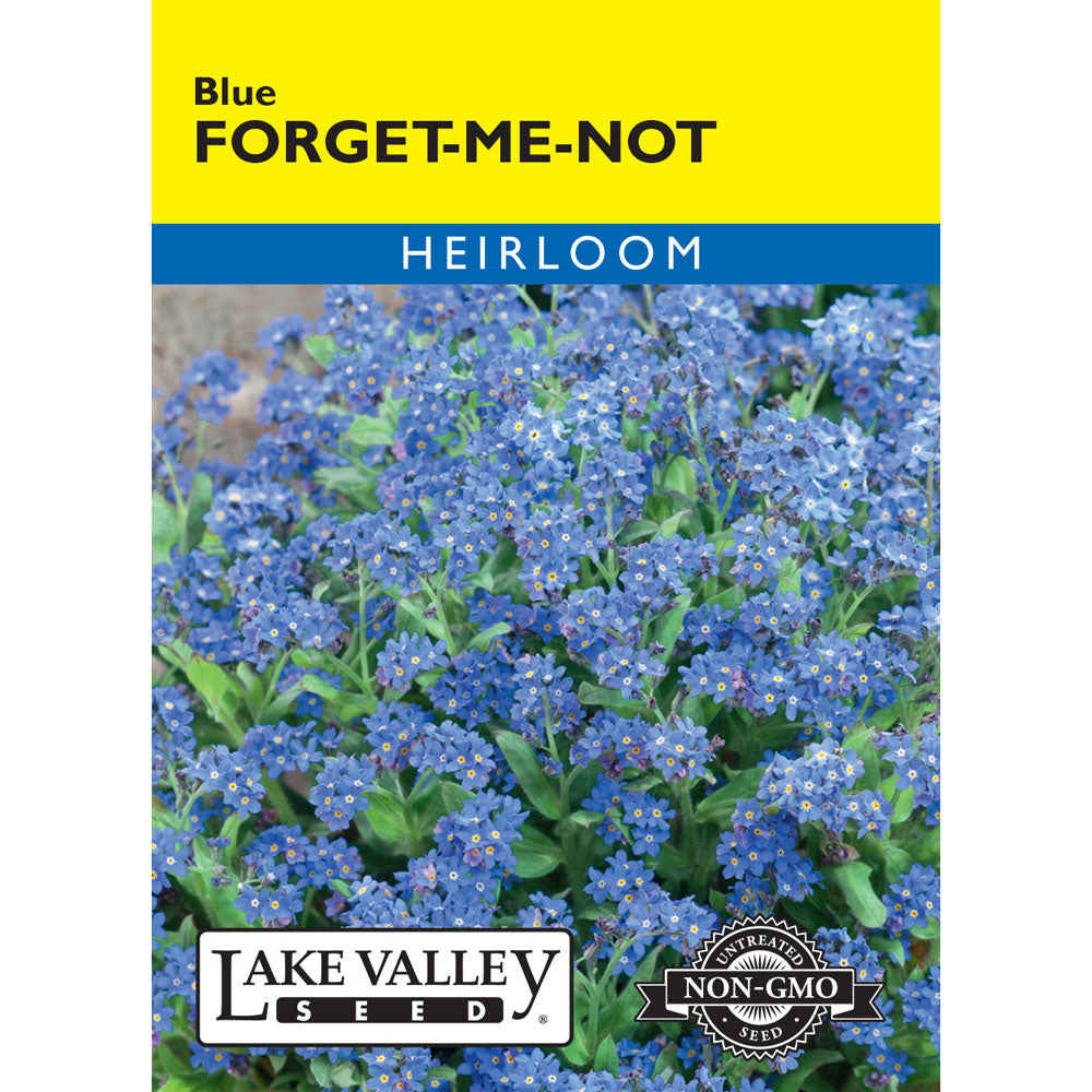 Lake Valley, Forget-Me-Not, Blue