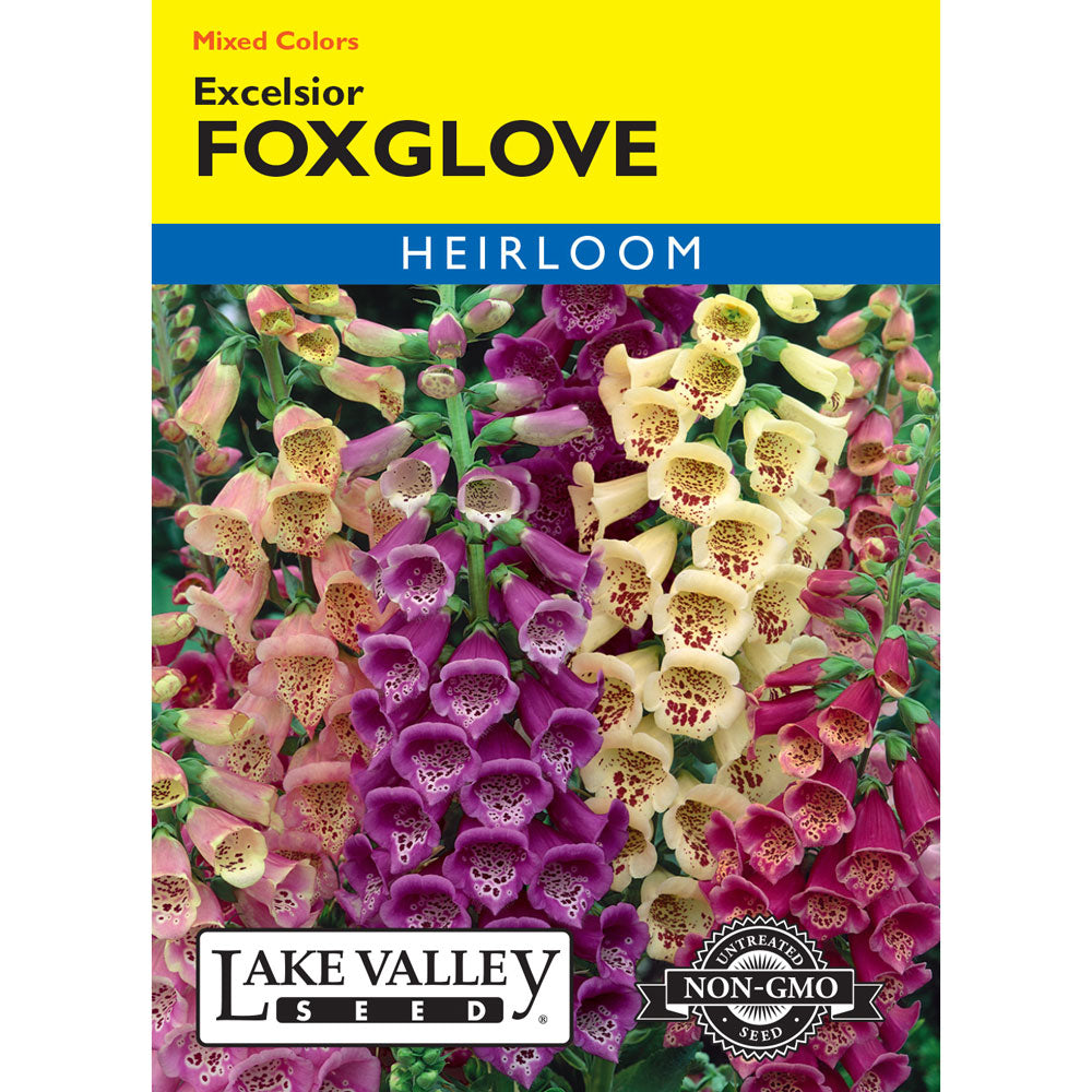 Lake Valley, Foxglove Excelsior, Mixed Colors