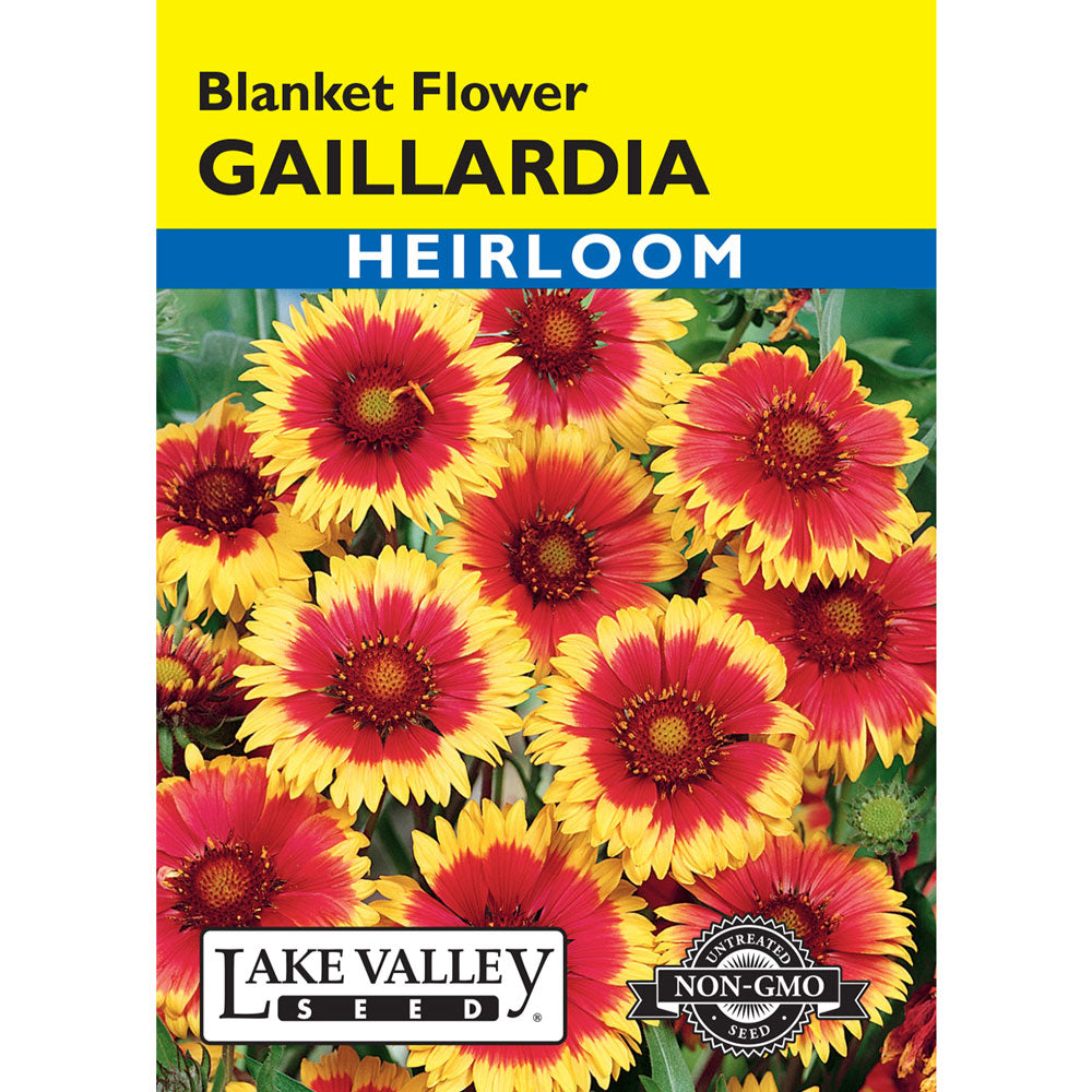Lake Valley, Gaillardia Blanket Flower