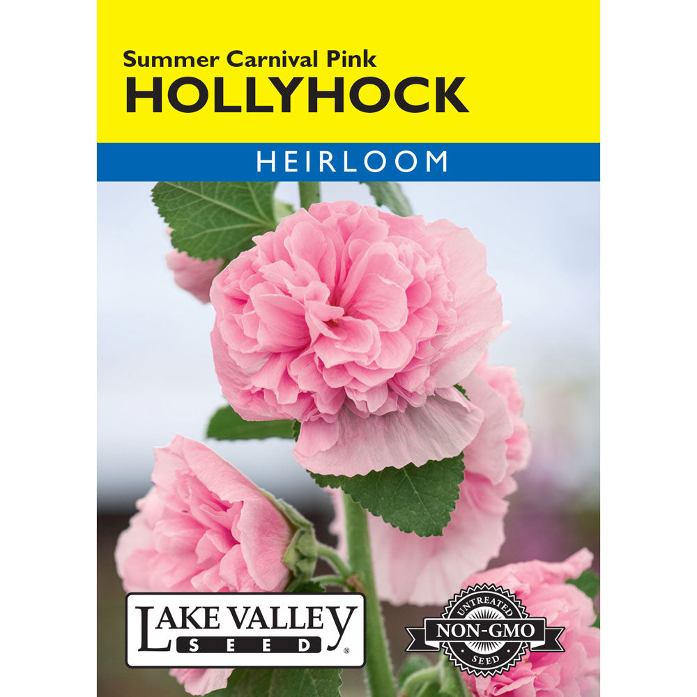 Lake Valley, Hollyhock Summer Carnival Pink