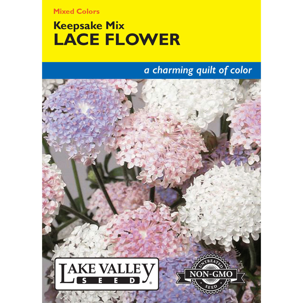 Lake Valley, Lace Flowers Keepsake, Mixed Colors