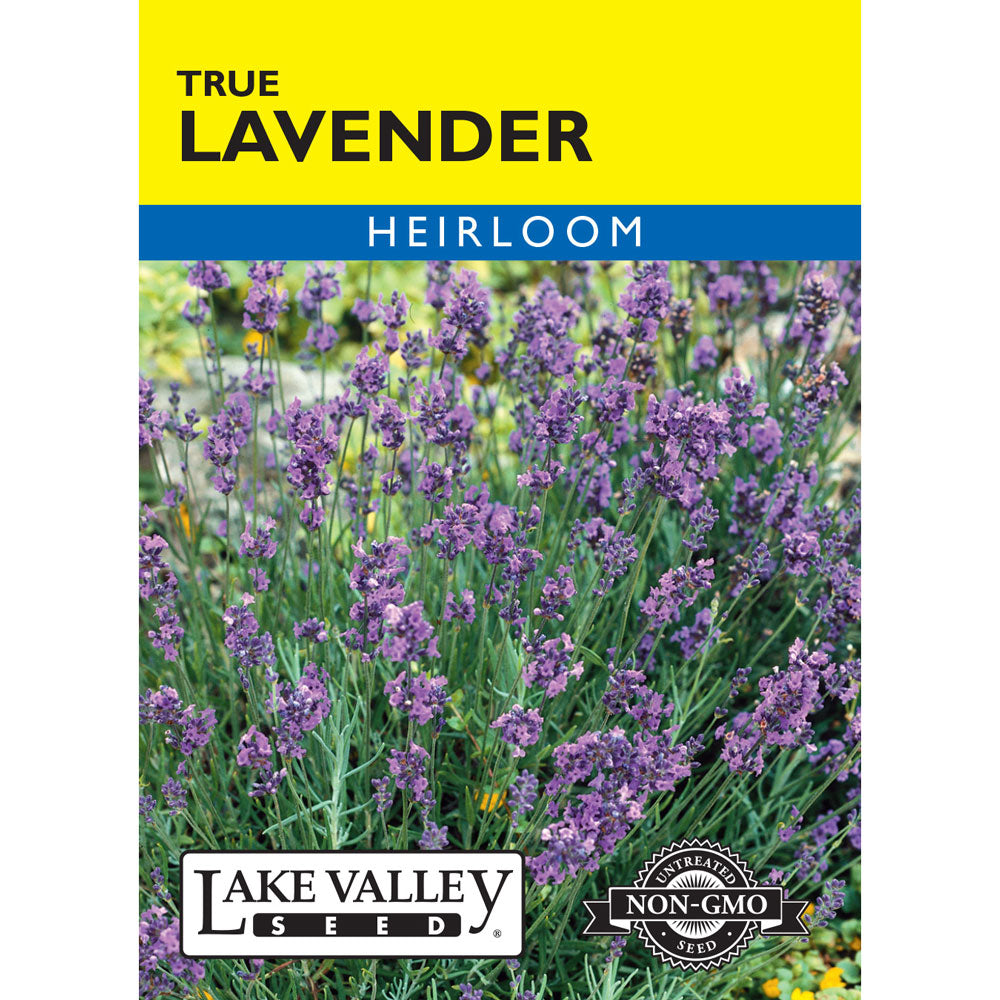 Lake Valley, Lavender True