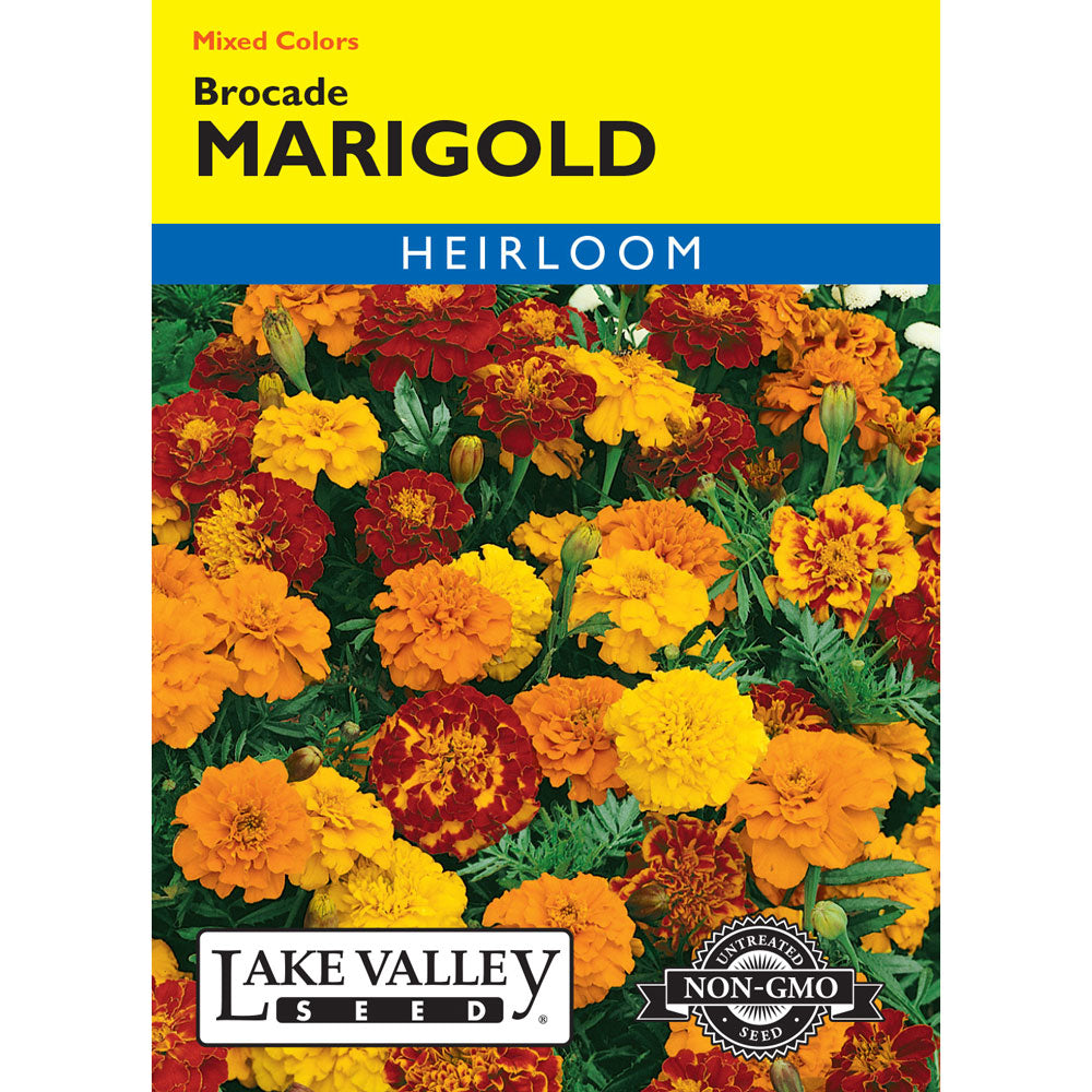 Lake Valley, Marigold Brocade, Mixed Colors