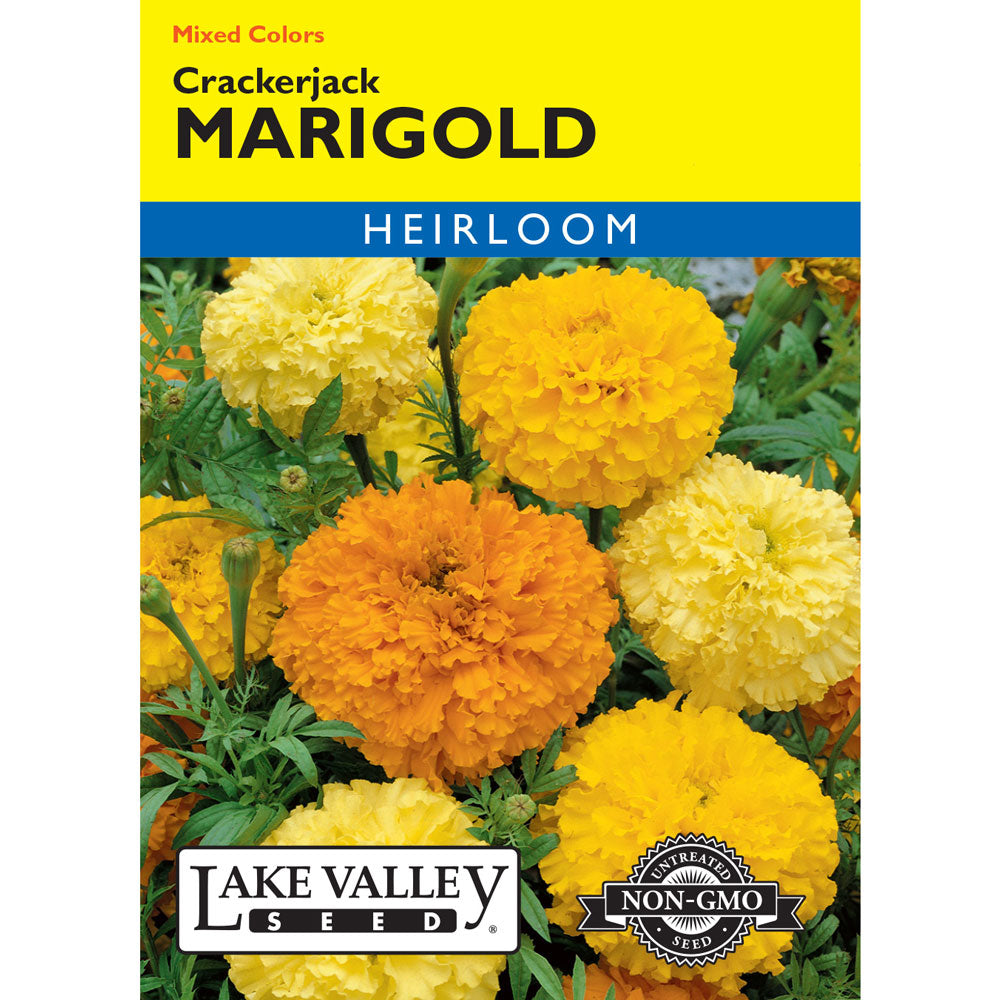 Lake Valley, Marigold Crackerjack, Mixed Colors