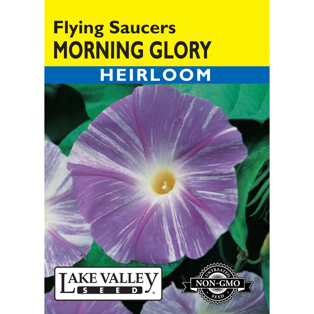 Lake Valley, Morning Glory Flying Saucers