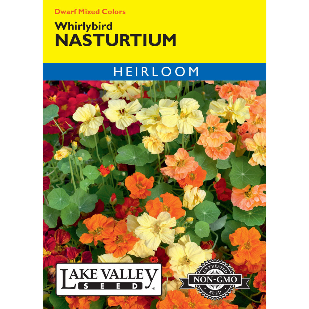 Lake Valley, Nasturtium Whirlybird, Mixed Colors