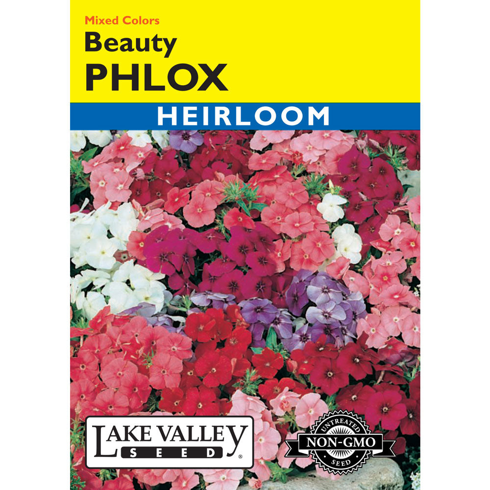Lake Valley, Phlox Beauty, Mixed Colors