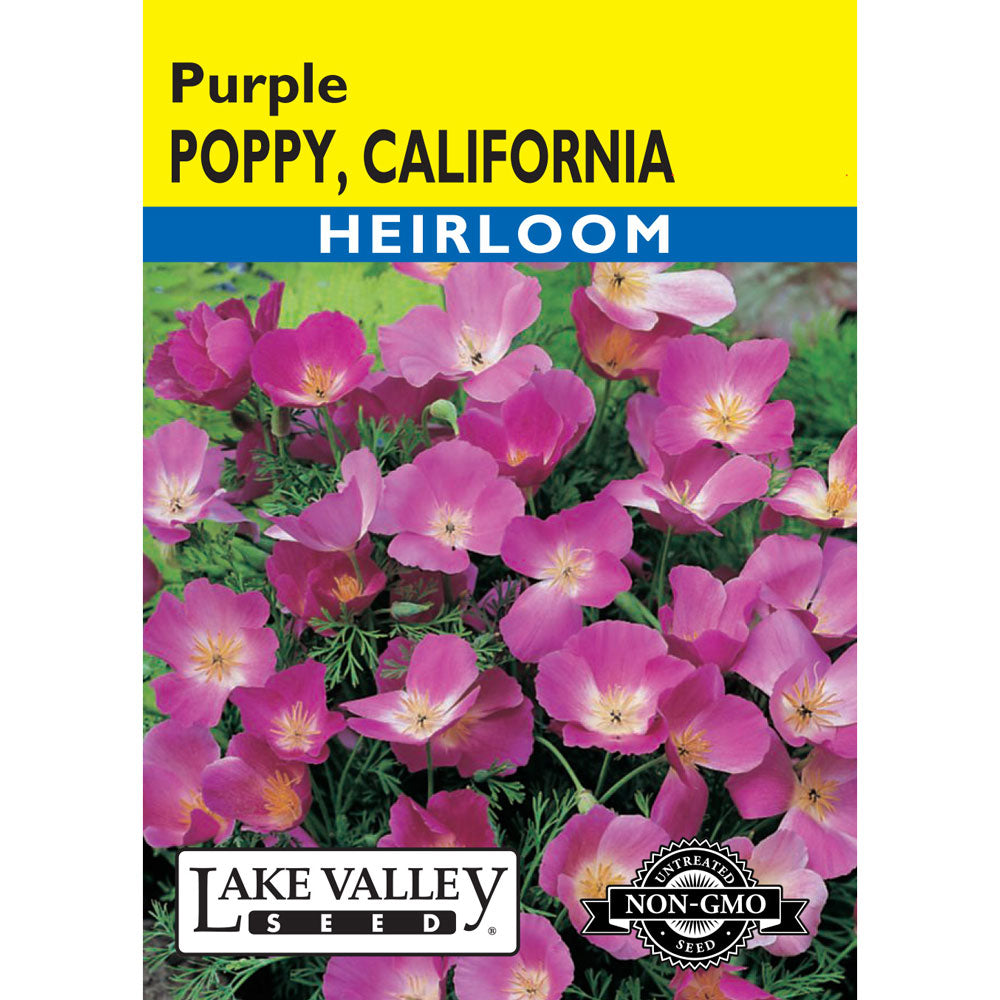 Lake Valley, Poppy California, Purple