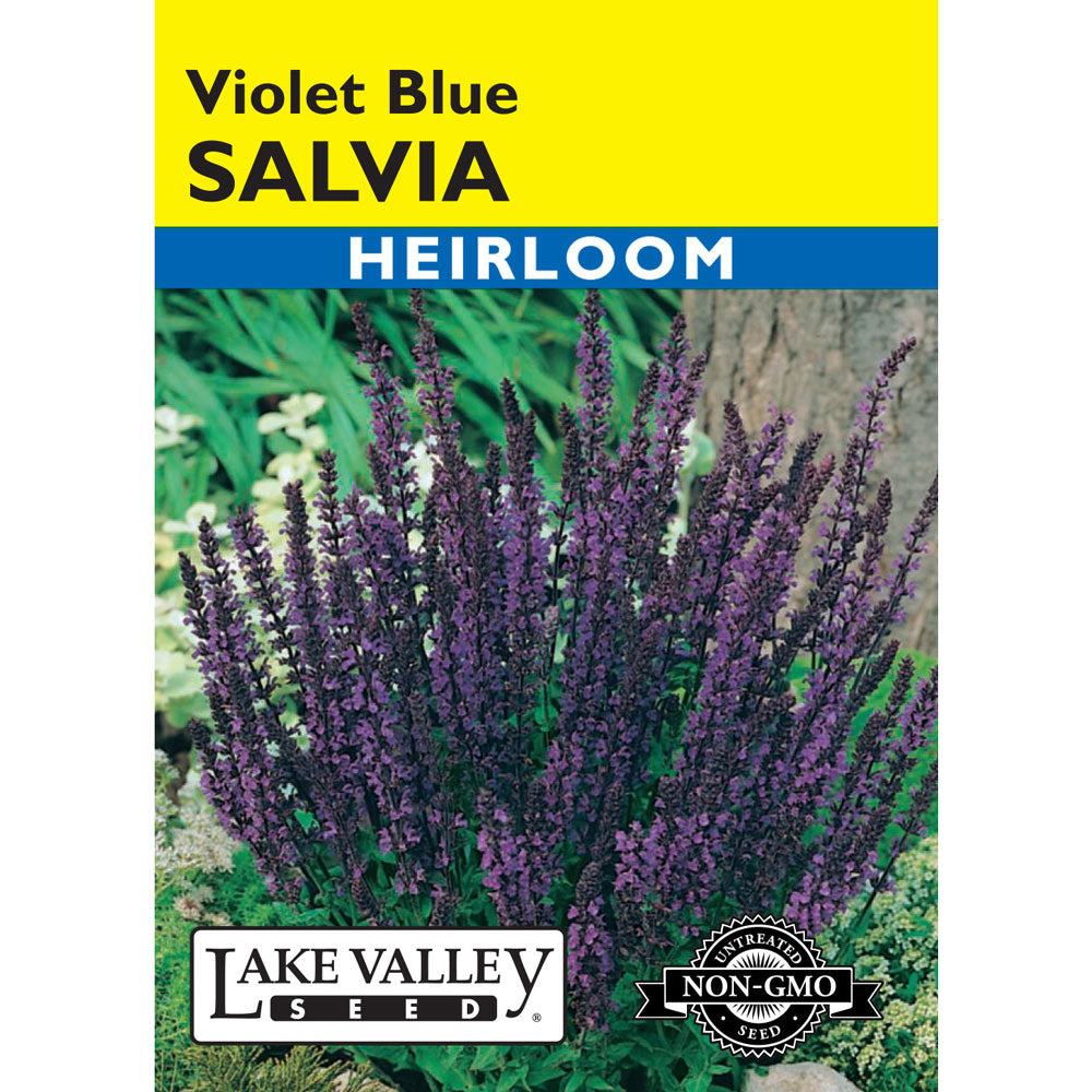 Lake Valley, Salvia, Violet-Blue