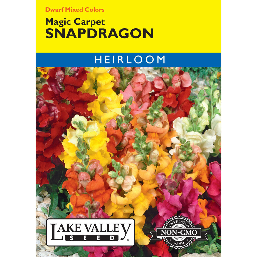 Lake Valley, Snapdragon Magic Carpet Dwarf