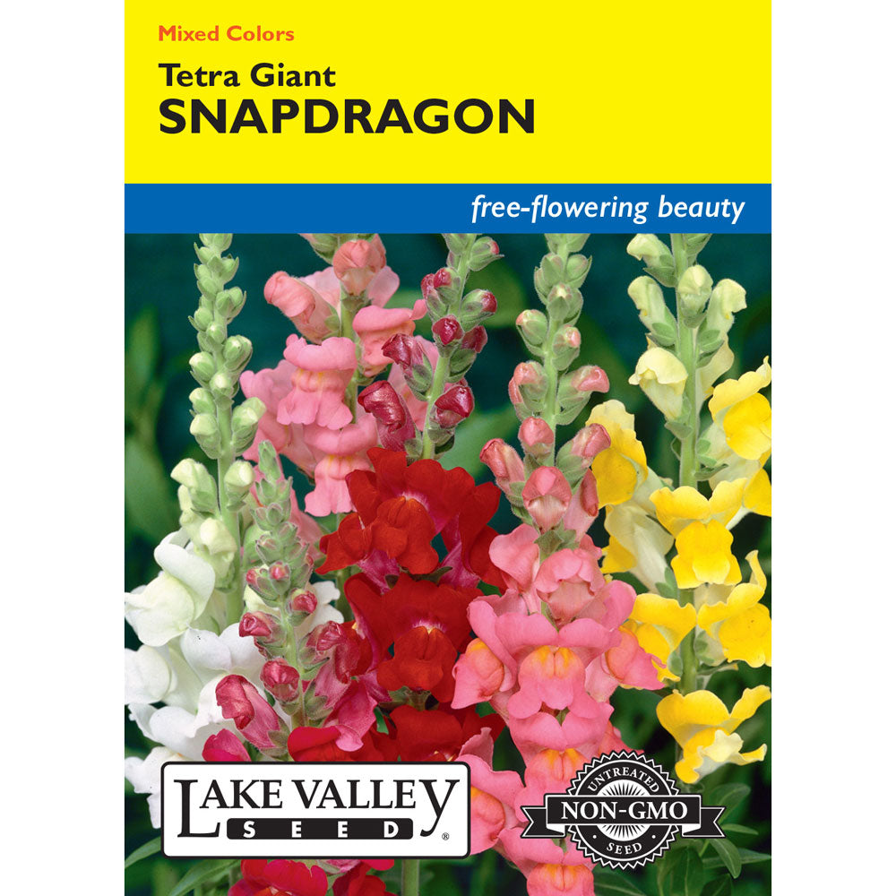 Lake Valley, Snapdragon Tetra Giants, Mixed Colors