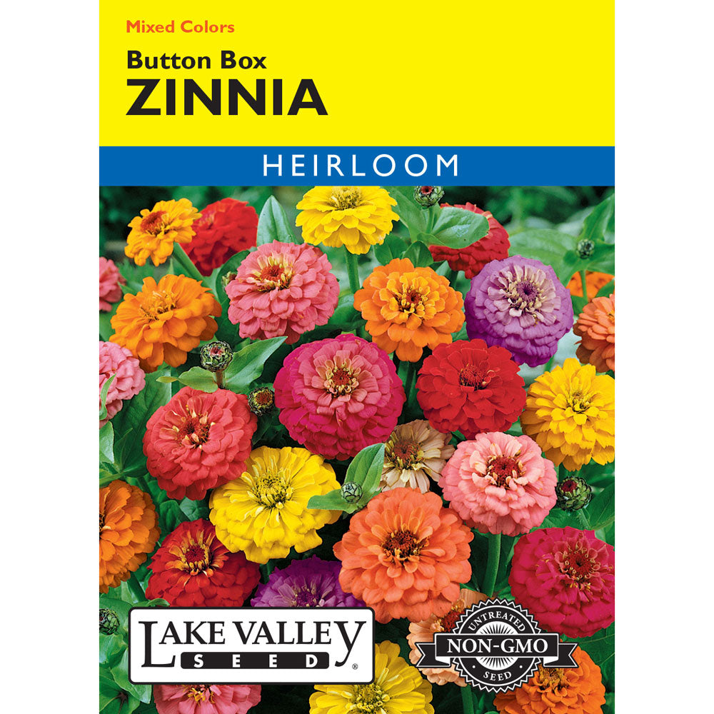 Lake Valley, Zinnia Button Box, Mixed Colors