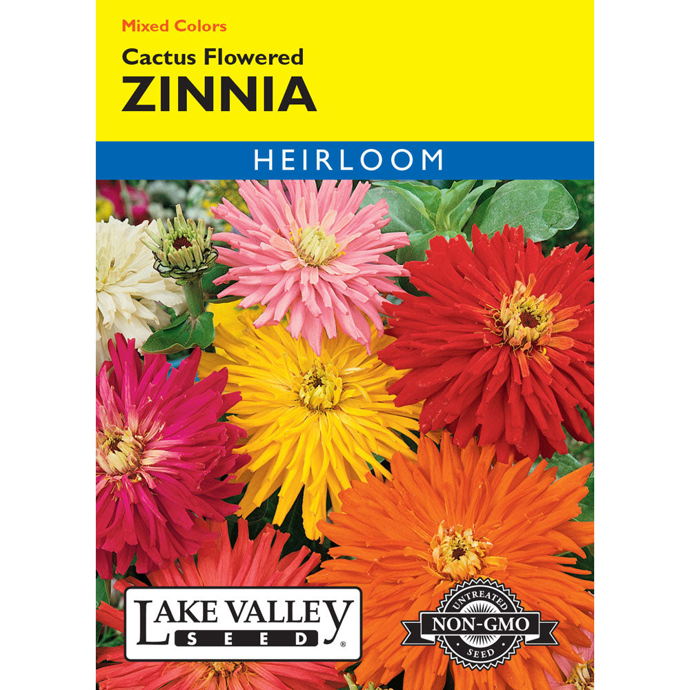 Lake Valley, Zinnia Cactus Flowered, Mixed Colors