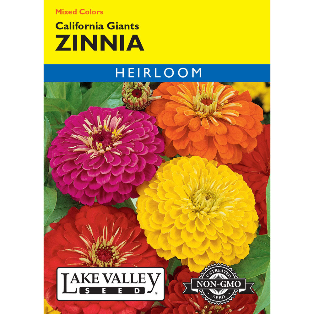 Lake Valley, Zinnia California Giants, Mixed Colors