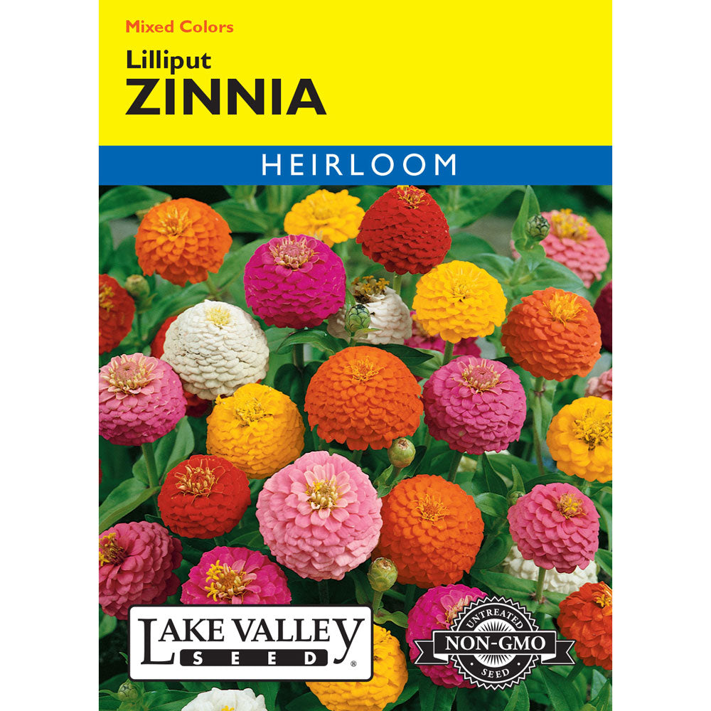 Lake Valley, Zinnia Lilliput, Mixed Colors