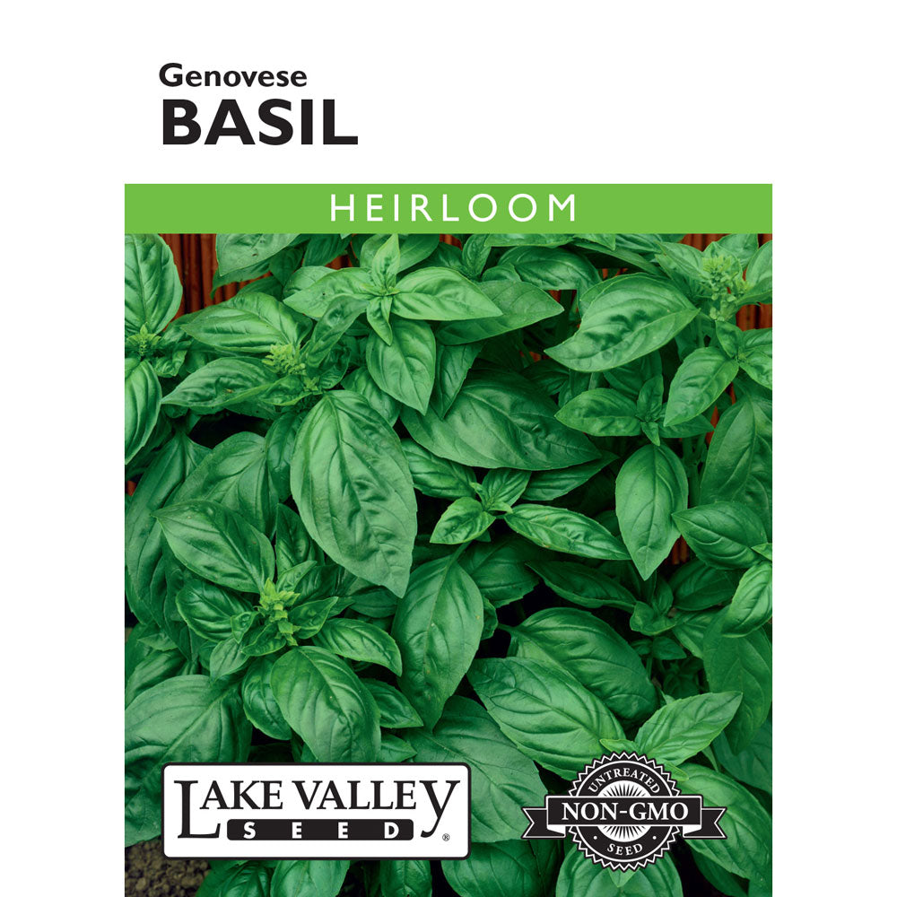 Lake Valley, Basil, Genovese