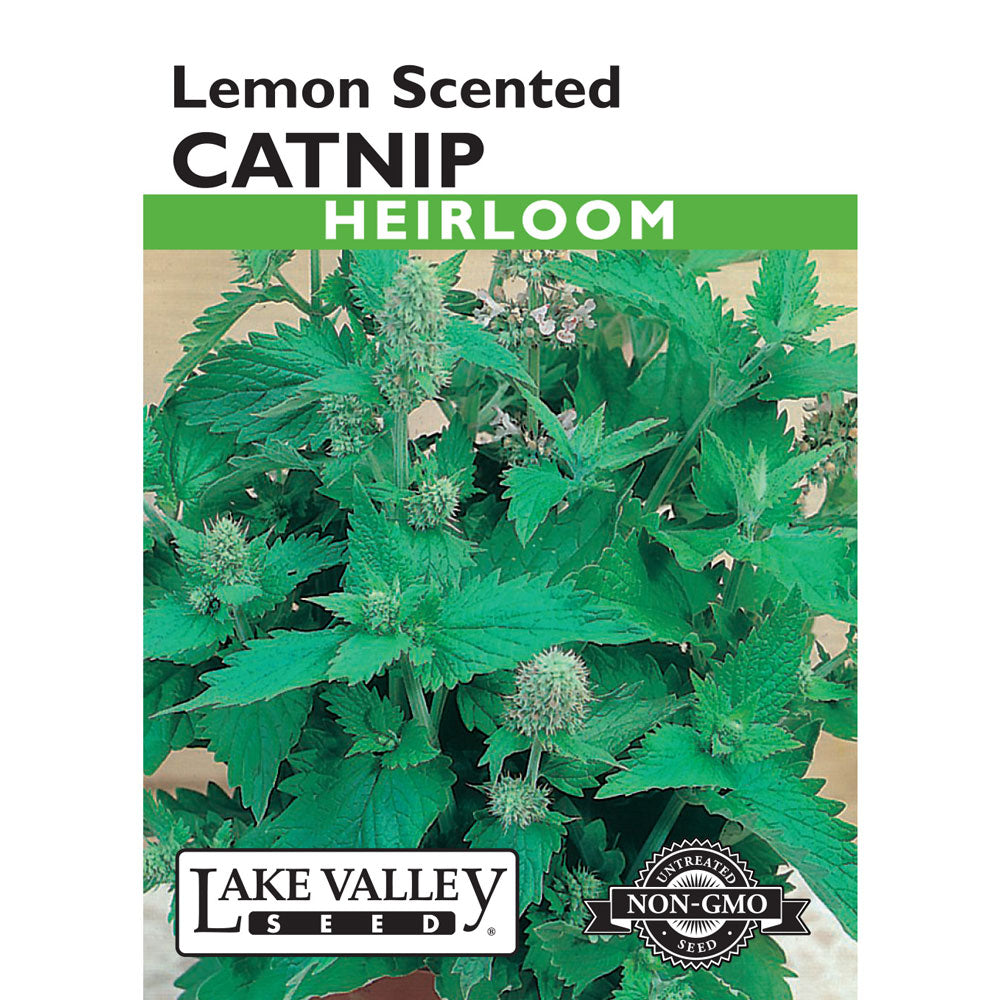 Lake Valley, Catnip, Lemon Scented