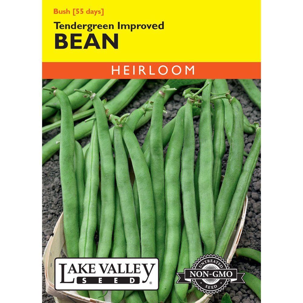Lake Valley, Bean (Bush), Tendergreen Improved