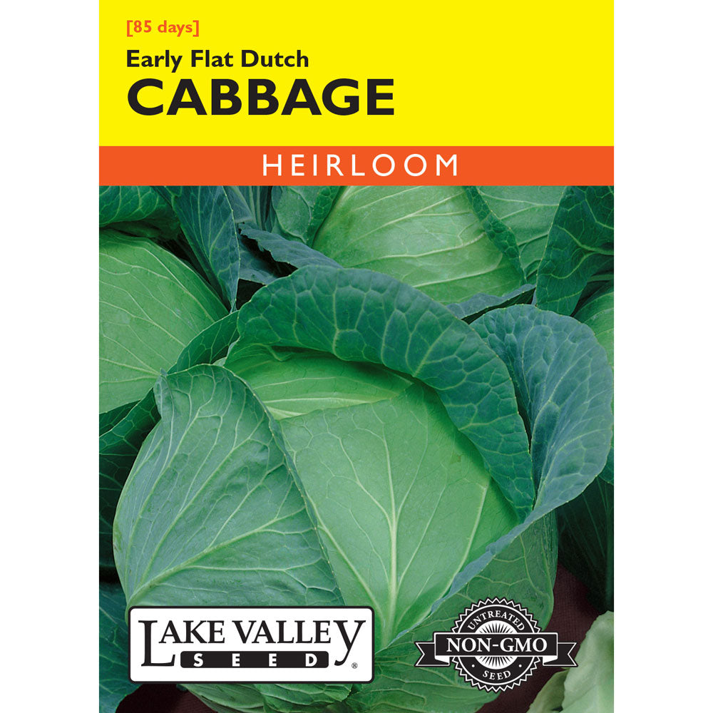 Lake Valley, Cabbage, Early Flat Dutch