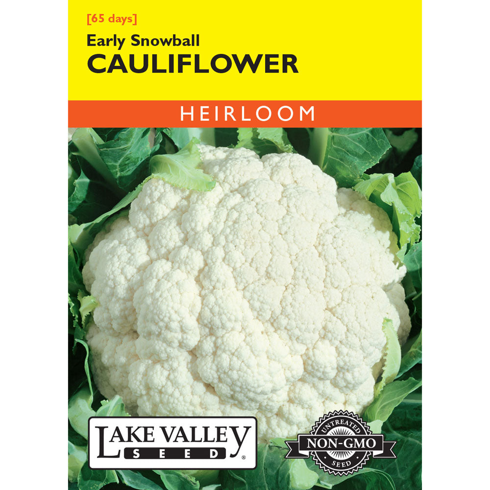 Lake Valley, Cauliflower, Early Snowball