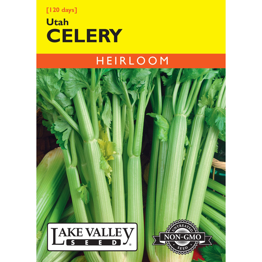 Lake Valley, Celery, Utah