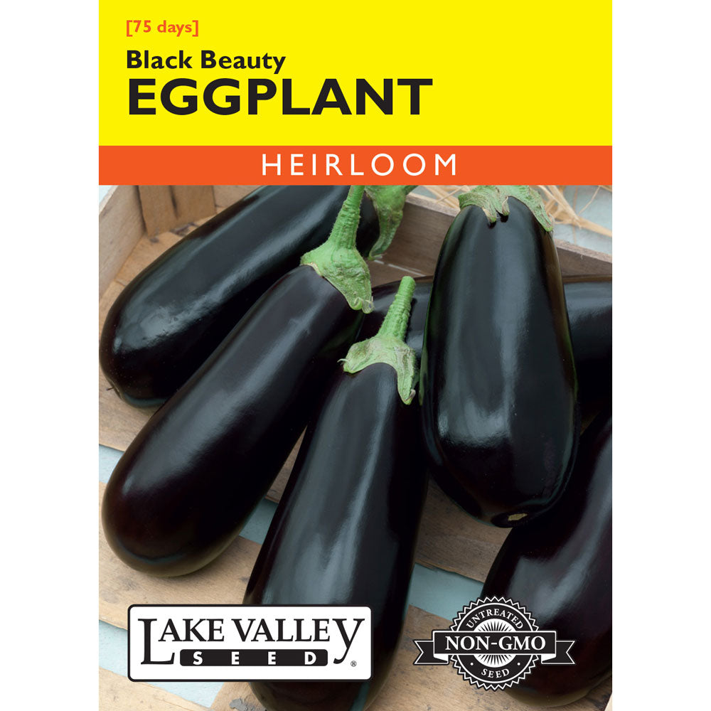 Lake Valley, Eggplant, Black Beauty