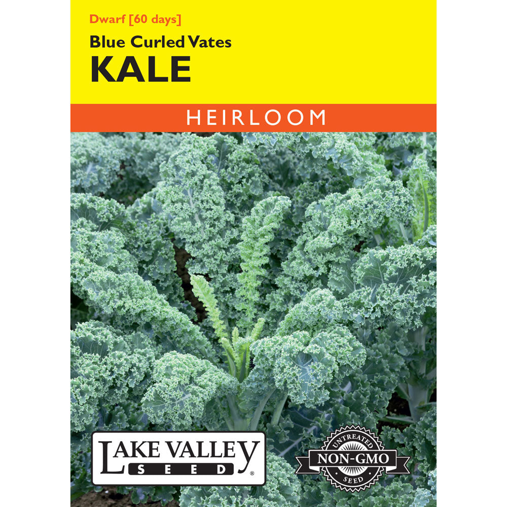 Lake Valley, Kale, Dwarf Blue Curled Vates