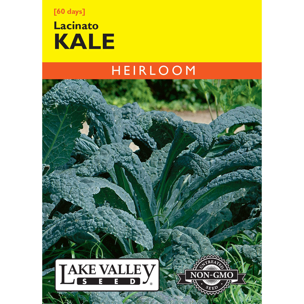 Lake Valley, Kale, Lacinato