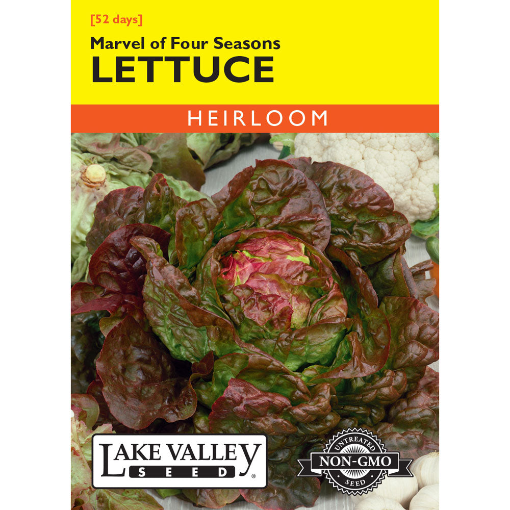 Lake Valley, Lettuce, Marvel of Four Seasons