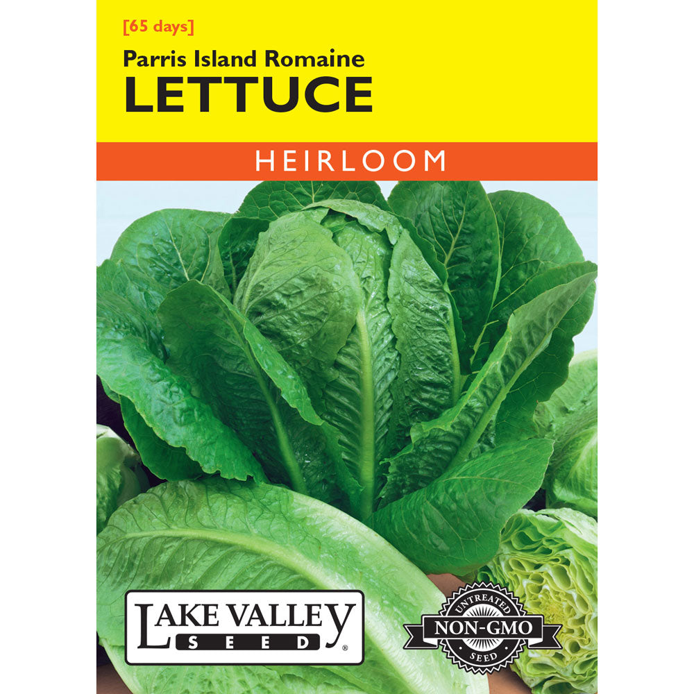 Lake Valley, Lettuce, Romaine Parris Island
