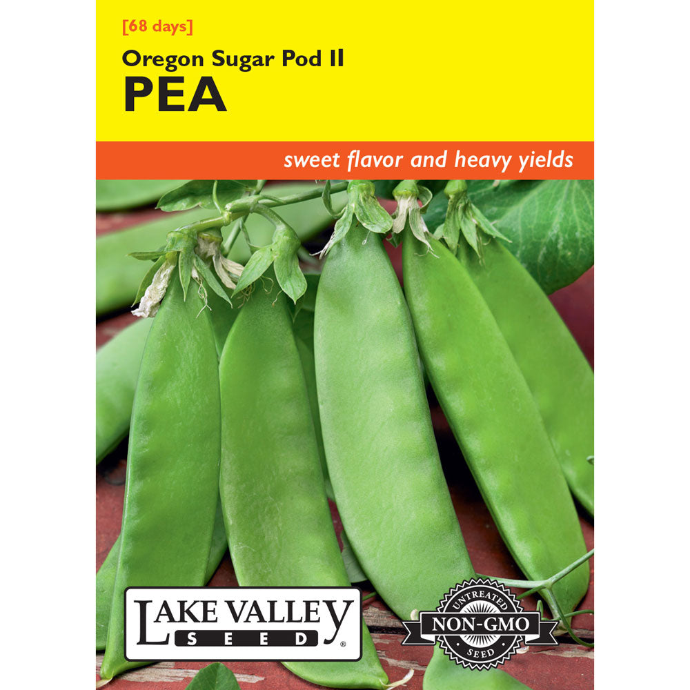 Lake Valley, Pea, Oregon Sugar Pod II (Bush)