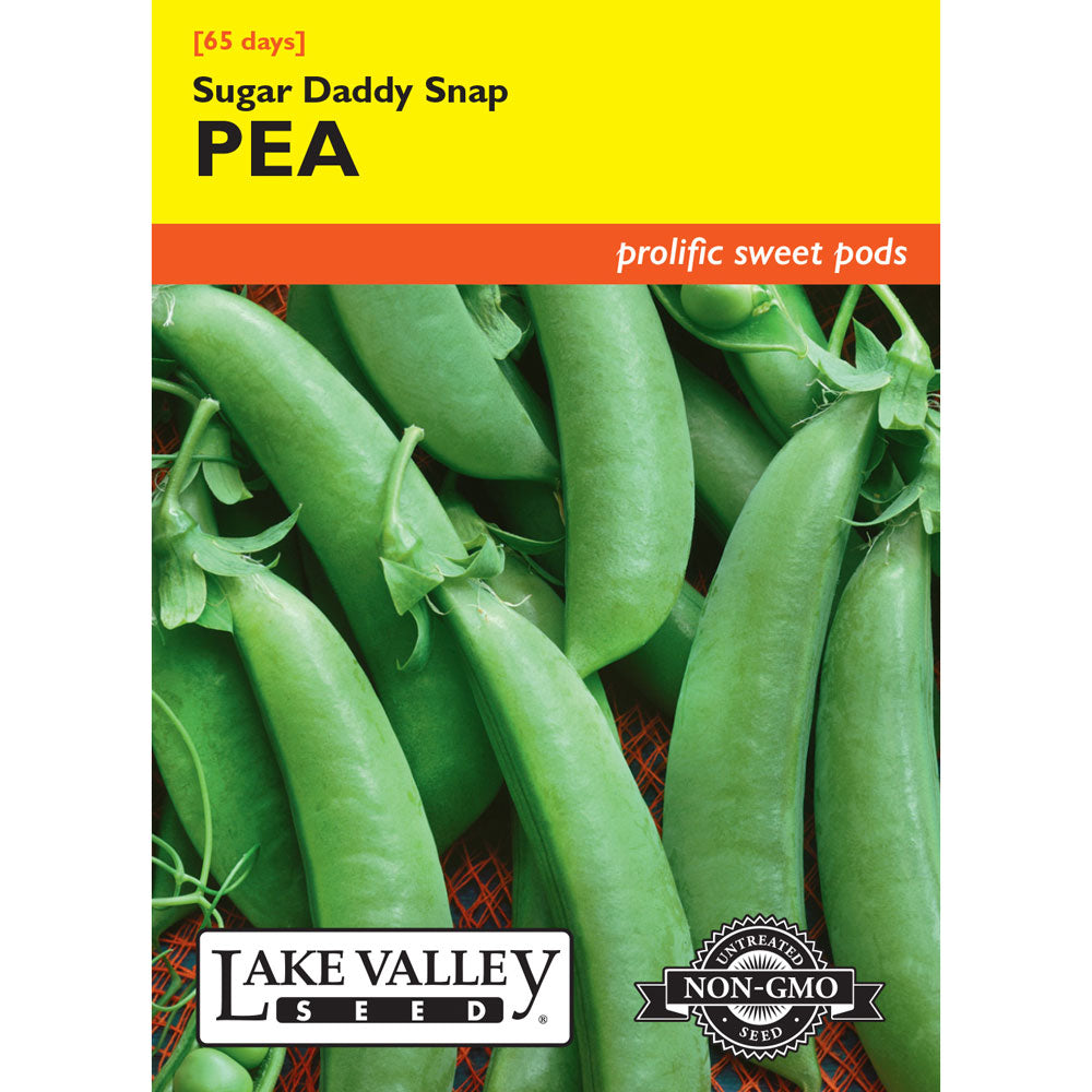 Lake Valley, Pea, Sugar Daddy Snap (Bush)