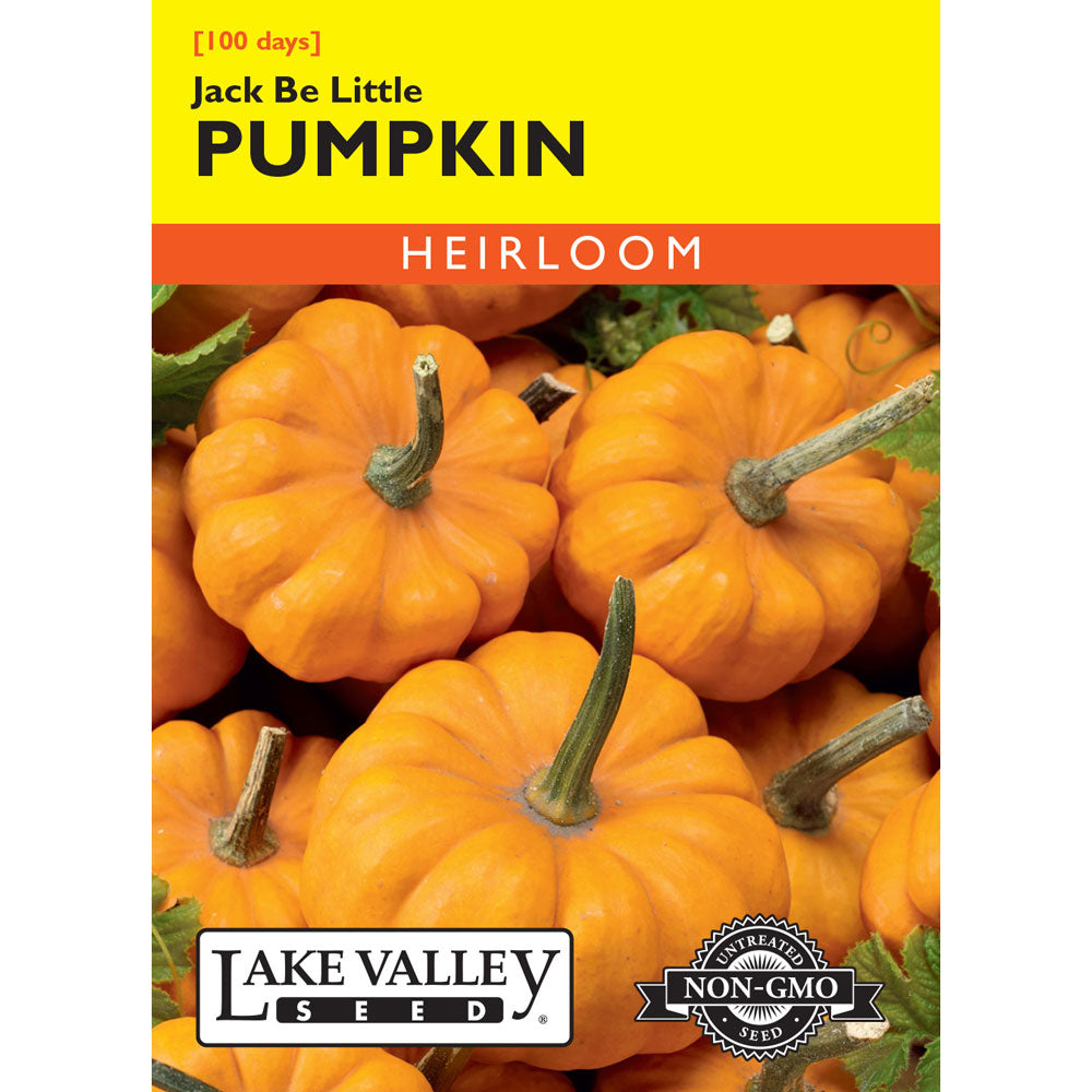 Lake Valley, Pumpkin, Jack Be Little (Mini)