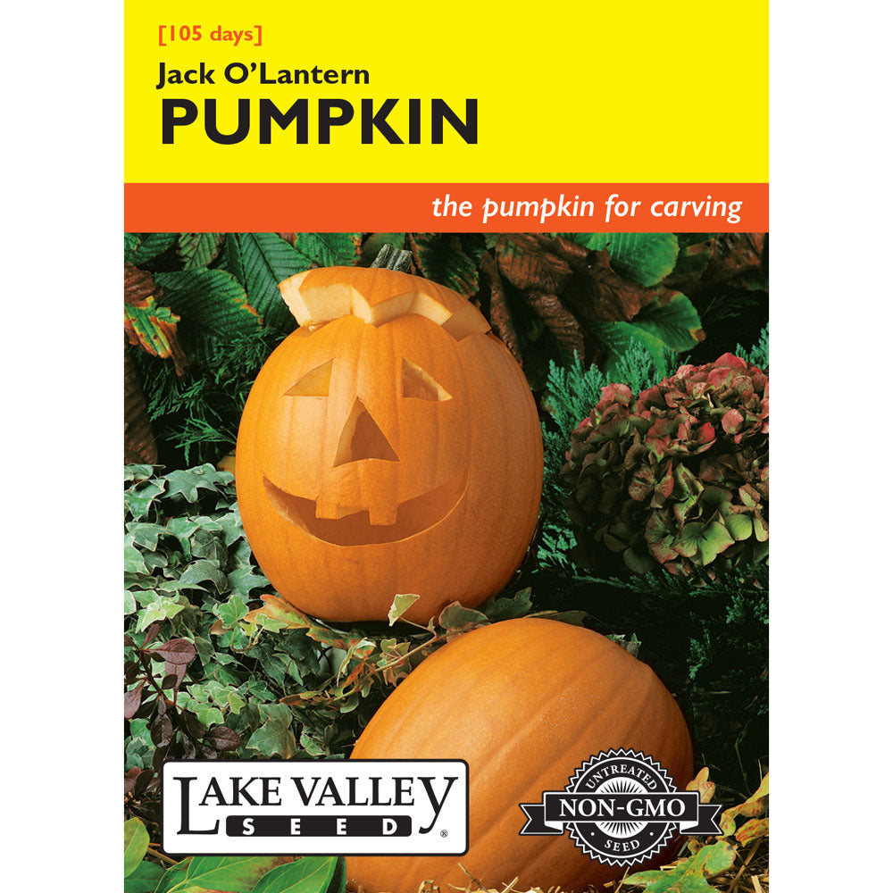 Lake Valley, Pumpkin, Jack O'Lantern