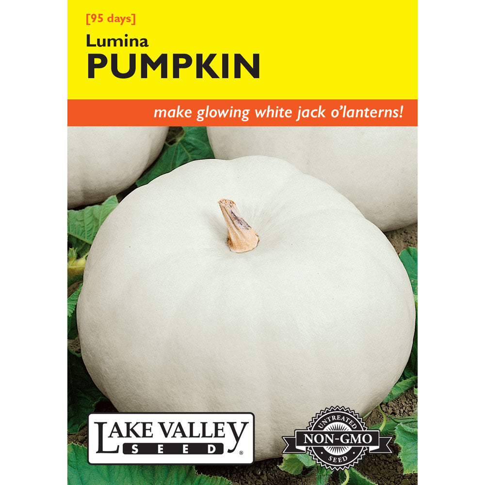 Lake Valley, Pumpkin, Lumina (White)